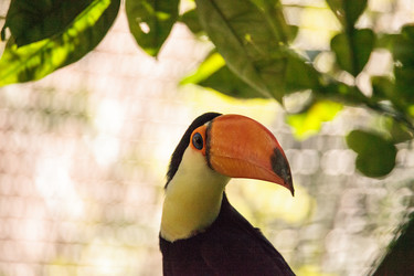 Similar image 19574948