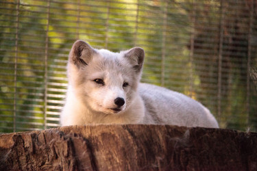 Similar image 19583333