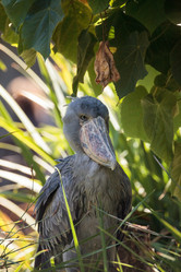 Similar image 19575031