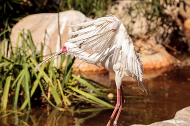 Similar image 19582118