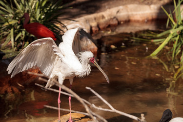 Similar image 19582120