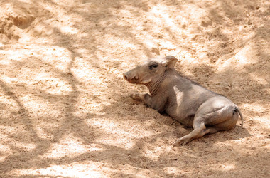 Similar image 19583398