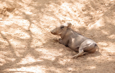 Similar image 19583401