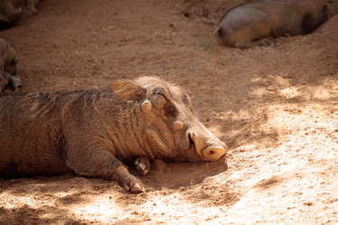 Similar image 19583403