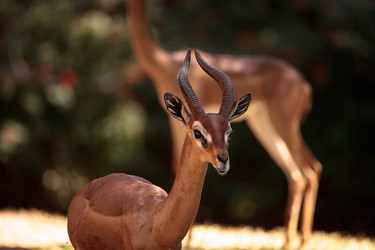 Similar image 19583433