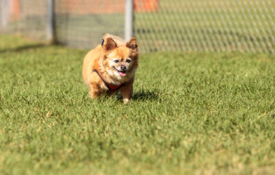 Similar image 19574932