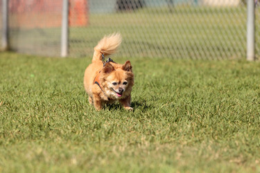 Similar image 19575030