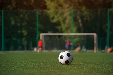 Similar image 19534600