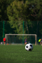 Similar image 19534611