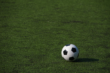 Similar image 19534621