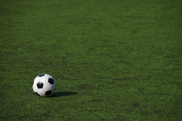 Similar image 19534643