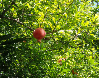 Similar image 19201093