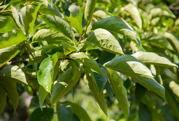 Similar image 19201094