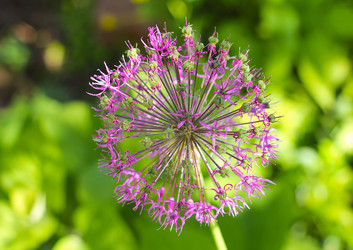 Similar image 19201105