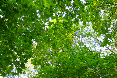 Similar image 19201129