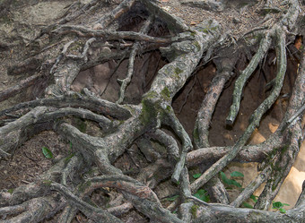 Similar image 19201175