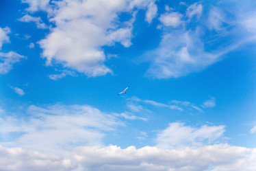 Similar image 19201176