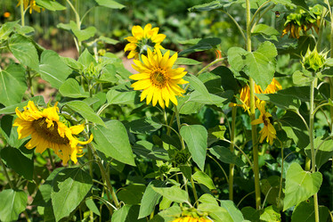 Similar image 19201177