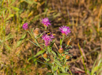 Similar image 19201178