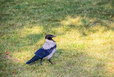 Similar image 19201194