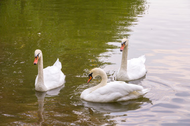 Similar image 19201196