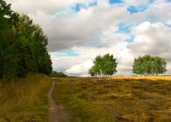 Similar image 19201069