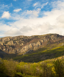 Similar image 19201072