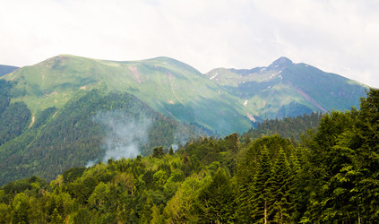 Similar image 19201074