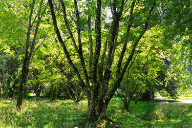 Similar image 19201109