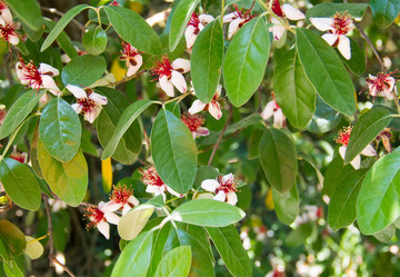 Similar image 19201115