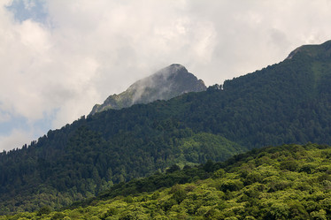 Similar image 19201136