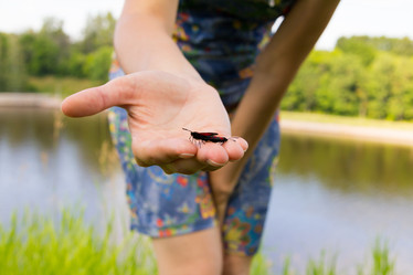 Similar image 19201162