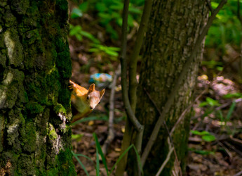 Similar image 19201168