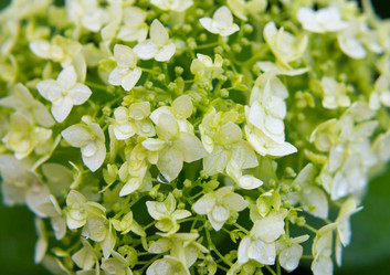 Similar image 19201179