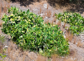 Similar image 19201198