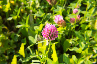 Similar image 19201205