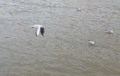 Similar image 19201078