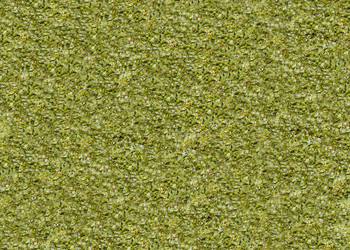 Similar image 19201079