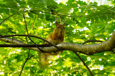 Similar image 19201081