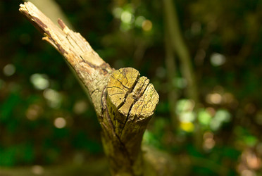 Similar image 19201118