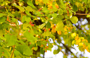 Similar image 19201117