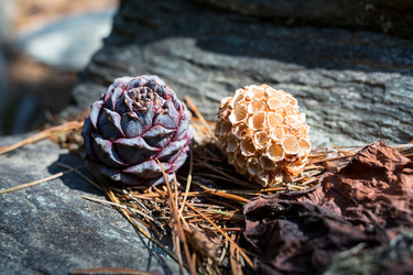 Similar image 19588630