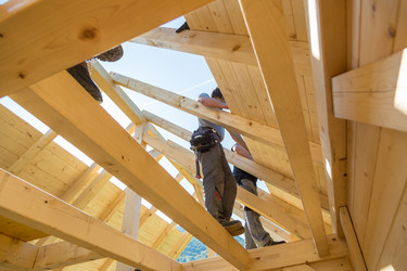 Similar image 19556263