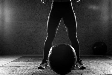 Similar image 19536004