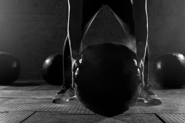 Similar image 19536029