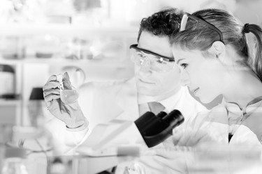 Similar image 19556360