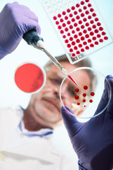 Similar image 19556303