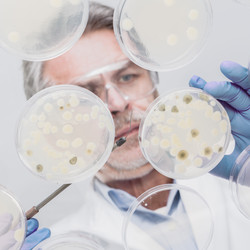 Similar image 19556306