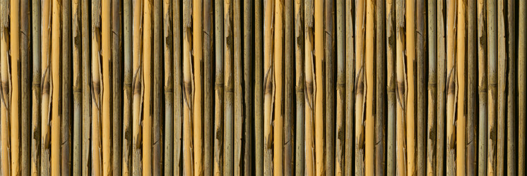 Similar image 19201186