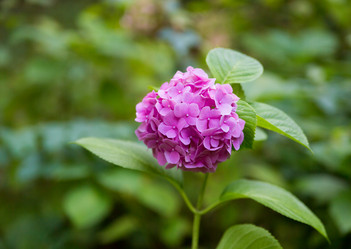 Similar image 19201206